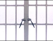 Standard Metal Windows